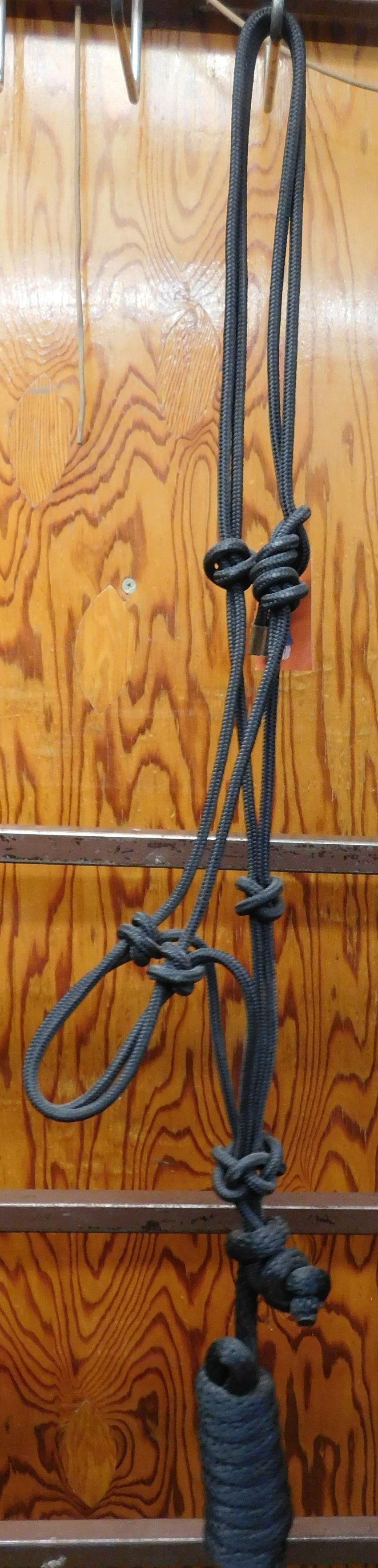 AHE Braid Poly Halter w/ 8' lead