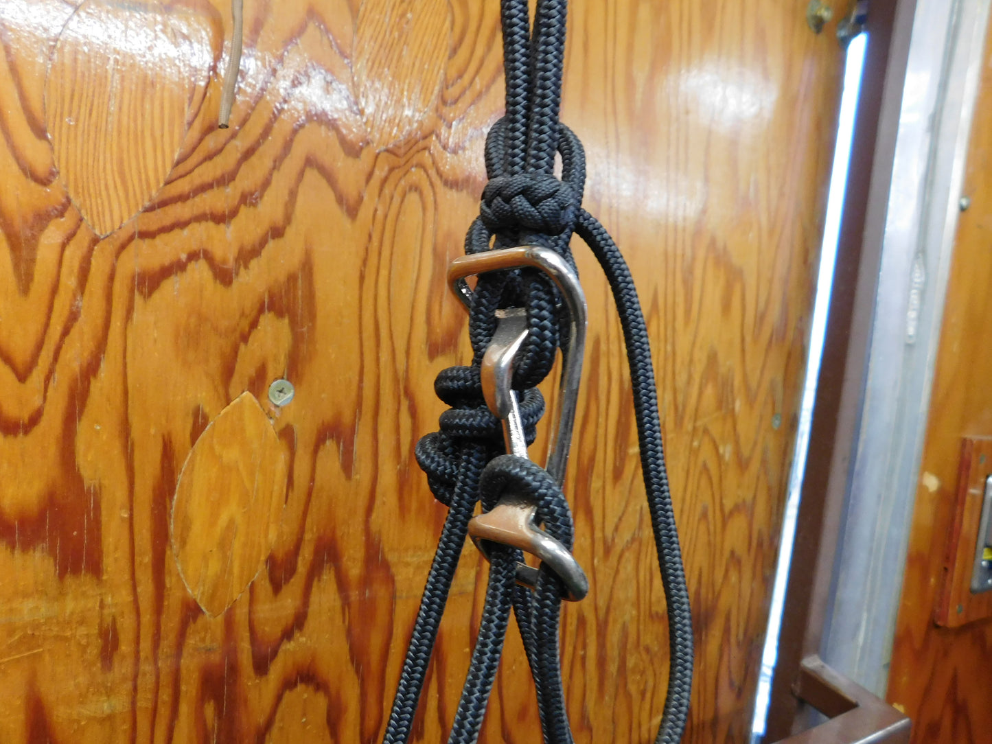 Martin Saddlery Halter Quick Release Halter (NO LEAD)