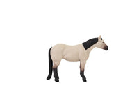 Little Buster Quarter Horse Buckskin