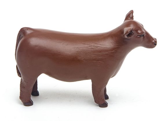 Little Buster Champion Show Steer Red