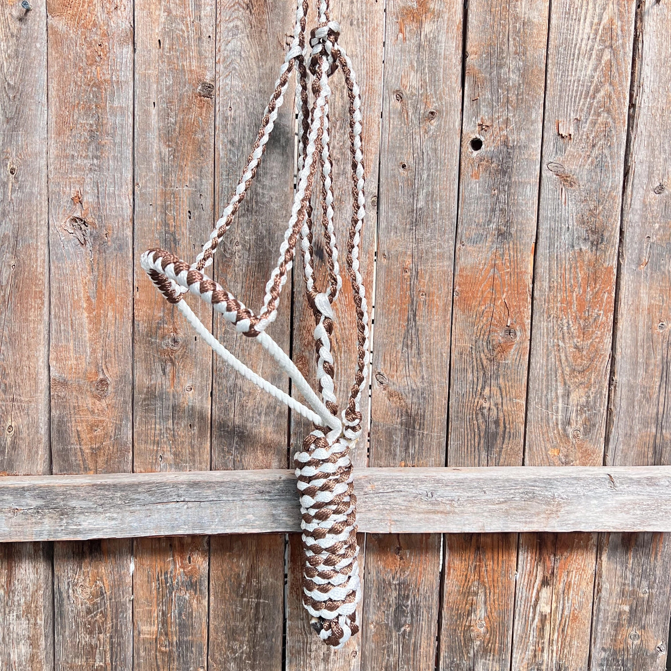 Lariat Mule Tape Halters- Brown and White